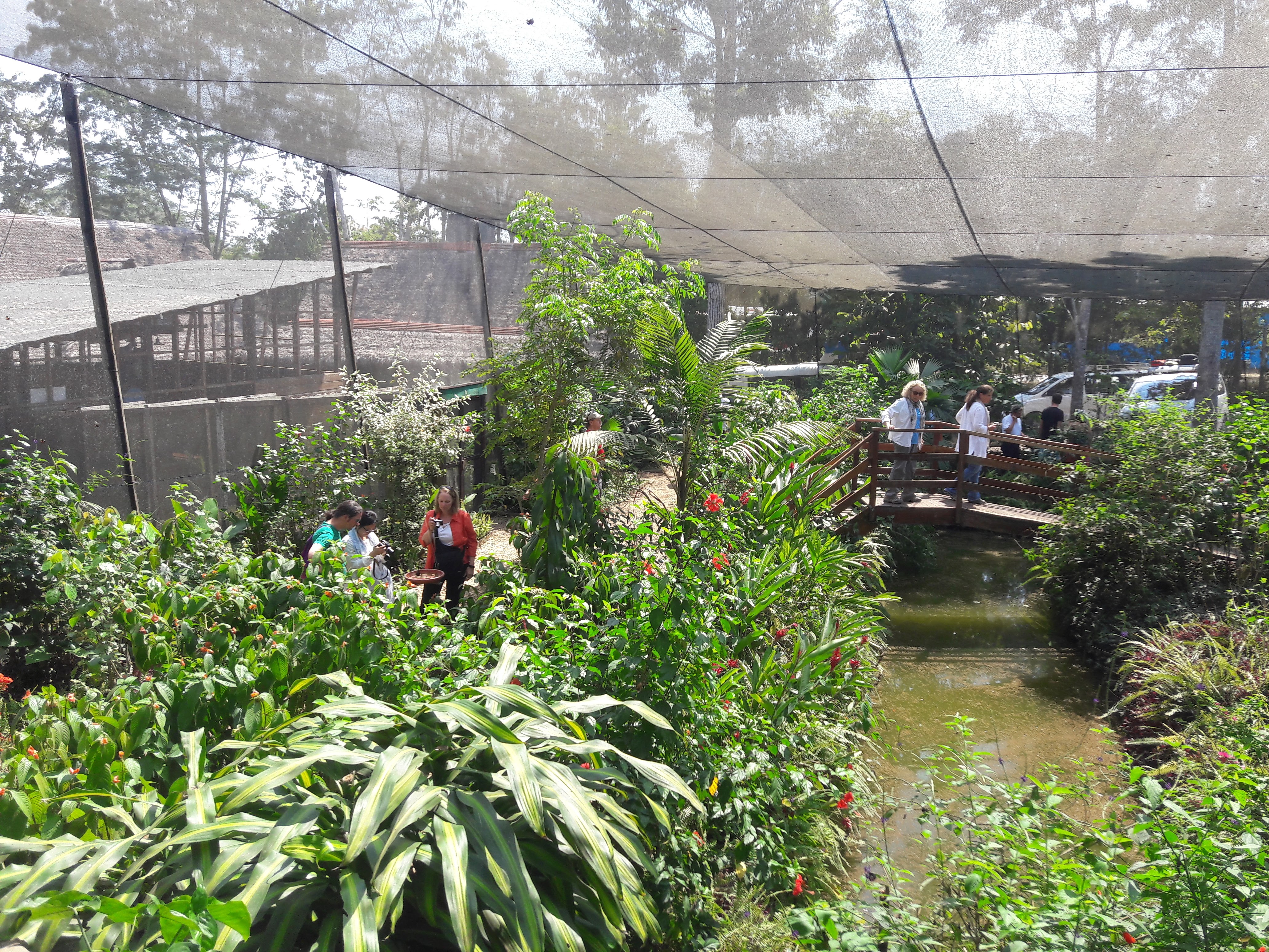 el-jardin-3